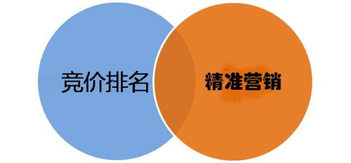 精準(zhǔn)洞察，破局制勝——如何系統(tǒng)研究競(jìng)爭(zhēng)對(duì)手的推廣與銷售策略